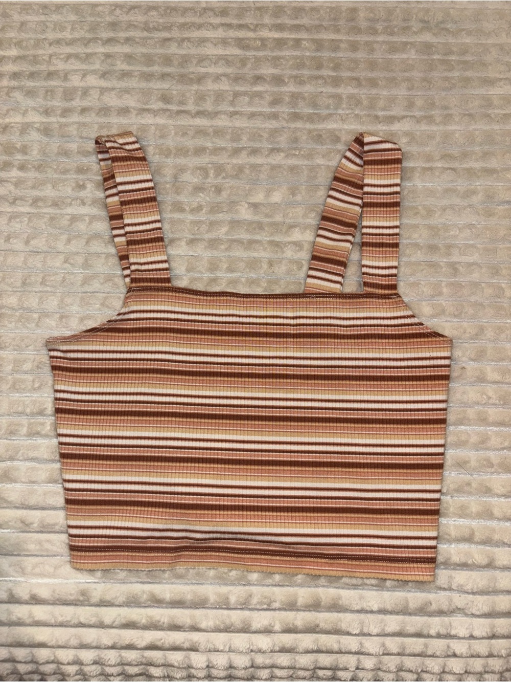 American Eagle Outfitters Striped Ribbed Crop Top in Brown, Tan and Cream